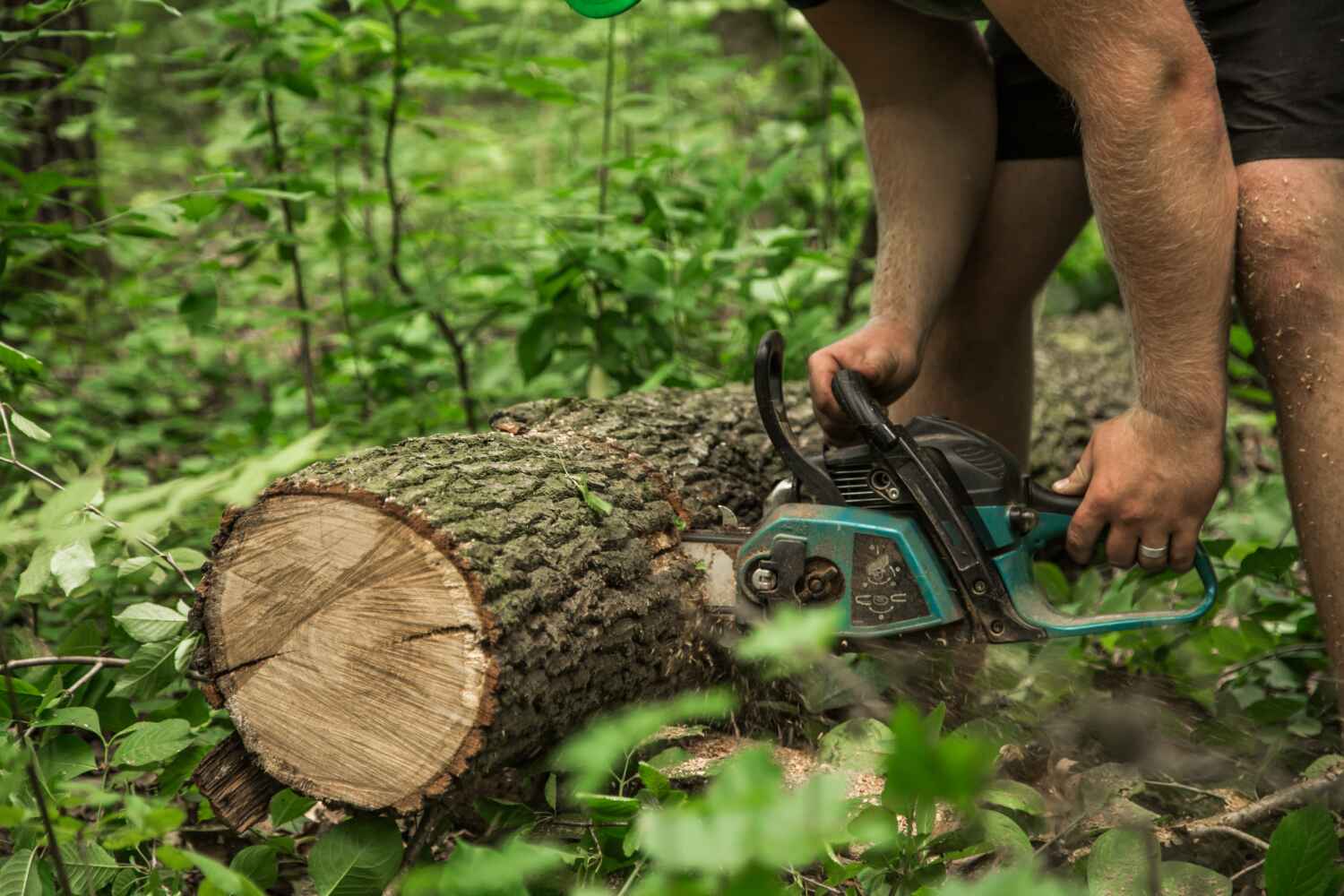 Best Tree Care Services  in Pine Mountain, GA